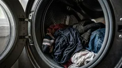 Bucato lasciato in lavatrice: dopo quanto tempo inizia l’odore di umido