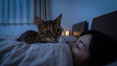 Perché il tuo gatto ti fissa di notte mentre dormi? 5 motivi