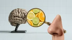 Olfatto e memoria: perché certi odori ci emozionano all’istante