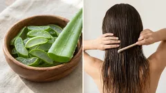 L'aloe per i capelli: quali sono i suoi veri benefici e come preparare una maschera in casa