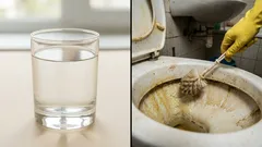 Niente pulisce così bene: il WC giallo è diventato bianco come la neve