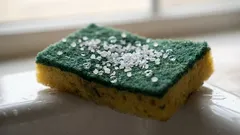Ho messo sale su una spugna: il risultato mi è piaciuto tantissimo