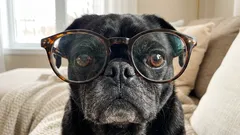 Miopia in aumento: perché non sono solo gli schermi, ma anche luce e distanza